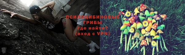 спайс Верея